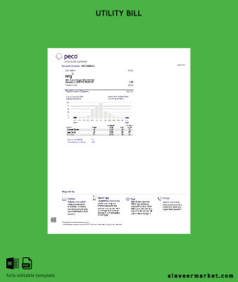USA Pennsylvania PECO electric and Gaz Fatura Fatura 3 pages 2