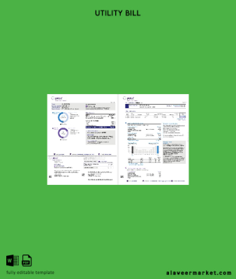 USA Pennsylvania PECO electric and Gaz Fatura Fatura 3 pages