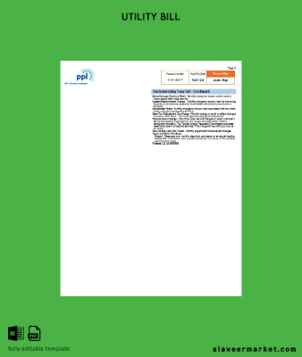 USA Pennsylvania PPL electric Fatura Fatura 3 pages 2