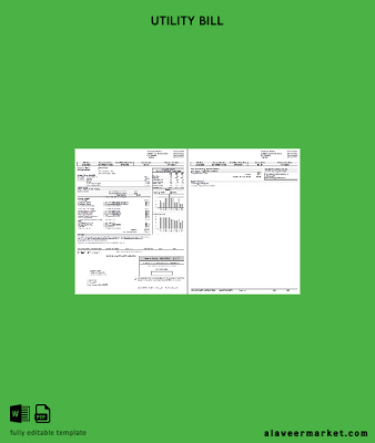 USA Peoples Gaz Fatura Fatura 2 pages