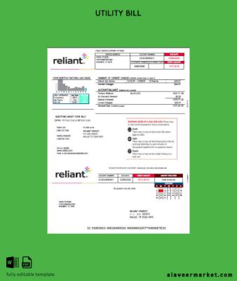 USA Reliant Energy Fatura Fatura
