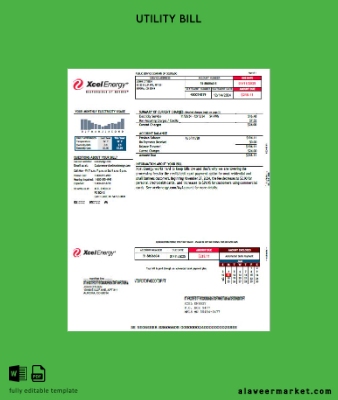 USA Xcel Energy Fatura Fatura word version 2