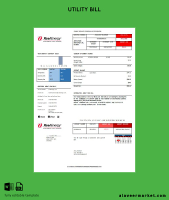 USA XcelEnergy electric Fatura Fatura word