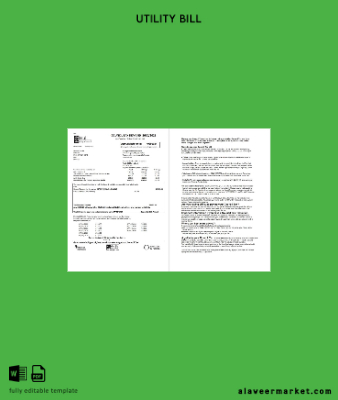 United Kingdom Hull City Council Fatura Fatura 2 pages